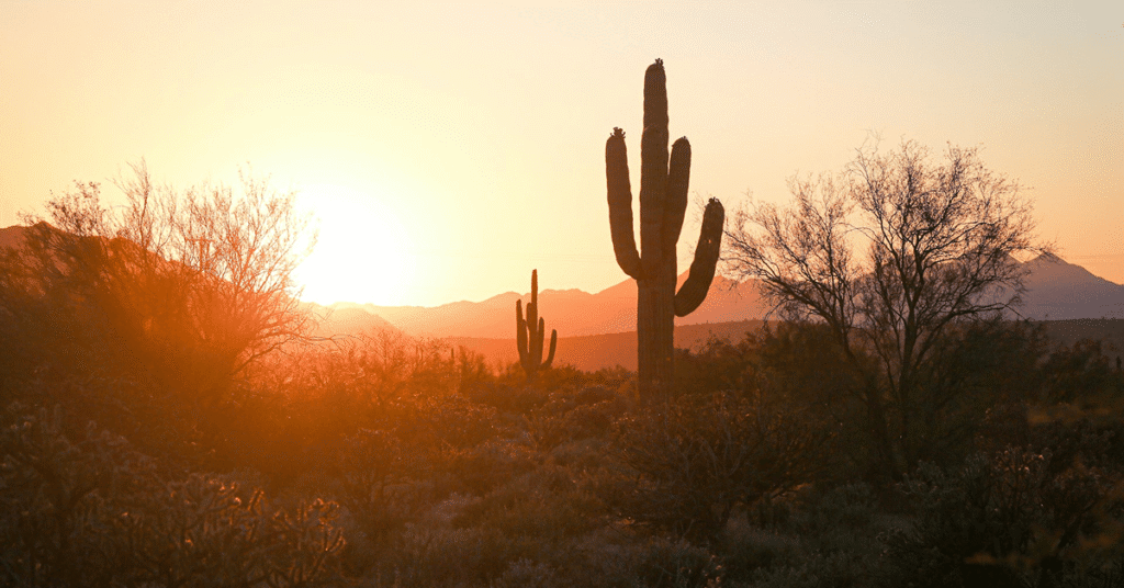 Phoenix, Arizona